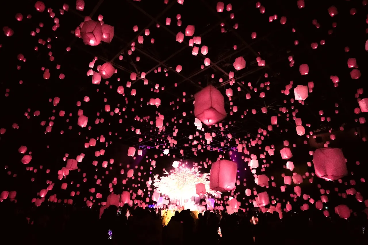 桜色のランタンが会場を彩る幻想的な景色